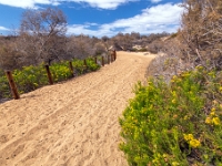 Dunes de Maspalomas